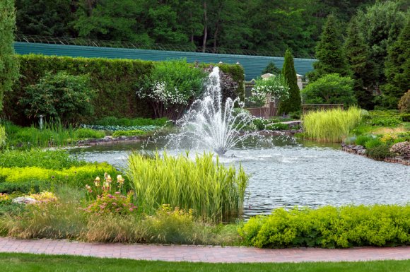 Aménagement d'un jardin méditerranéen avec oliviers à Saint-Martin-d'Hères