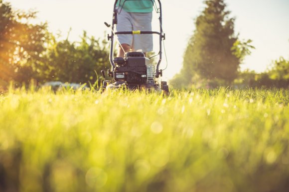 Contrat annuel d'entretien de jardin à Saint-Martin-d'Hères