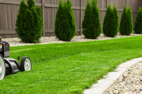 Jardinier pour création de jardin topiaire à Meylan