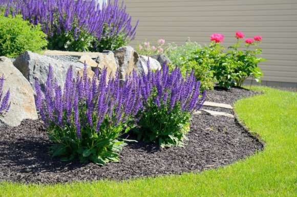 Quelles plantes choisir pour un massif fleuri ?