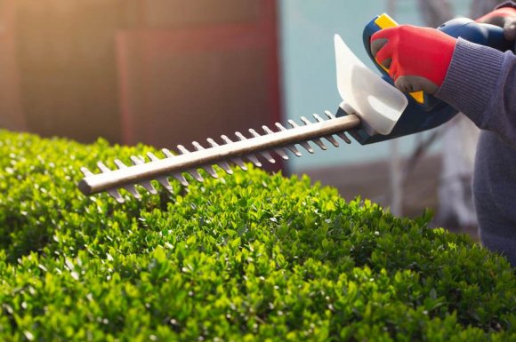 Entreprise pour l’entretien des espaces verts d’une collectivité Saint-Martin-d'Hères - ACM Paysage