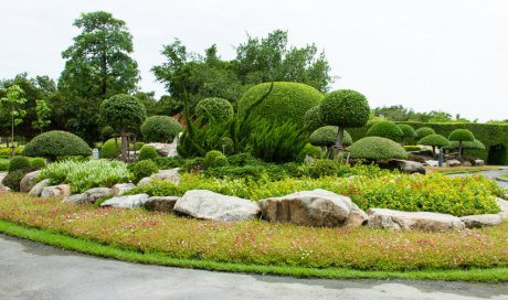 Création et aménagement de jardin méditerranéen par paysagiste à Meylan 