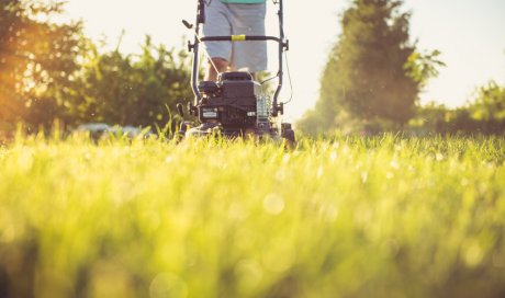 Contrat annuel d'entretien de jardin à Saint-Martin-d'Hères