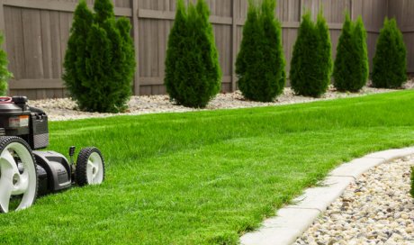 Jardinier pour création de jardin topiaire à Meylan