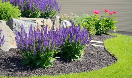 Quelles plantes choisir pour un massif fleuri ?