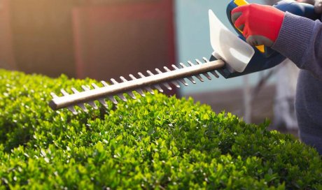 Entreprise pour l’entretien des espaces verts d’une collectivité Saint-Martin-d'Hères - ACM Paysage